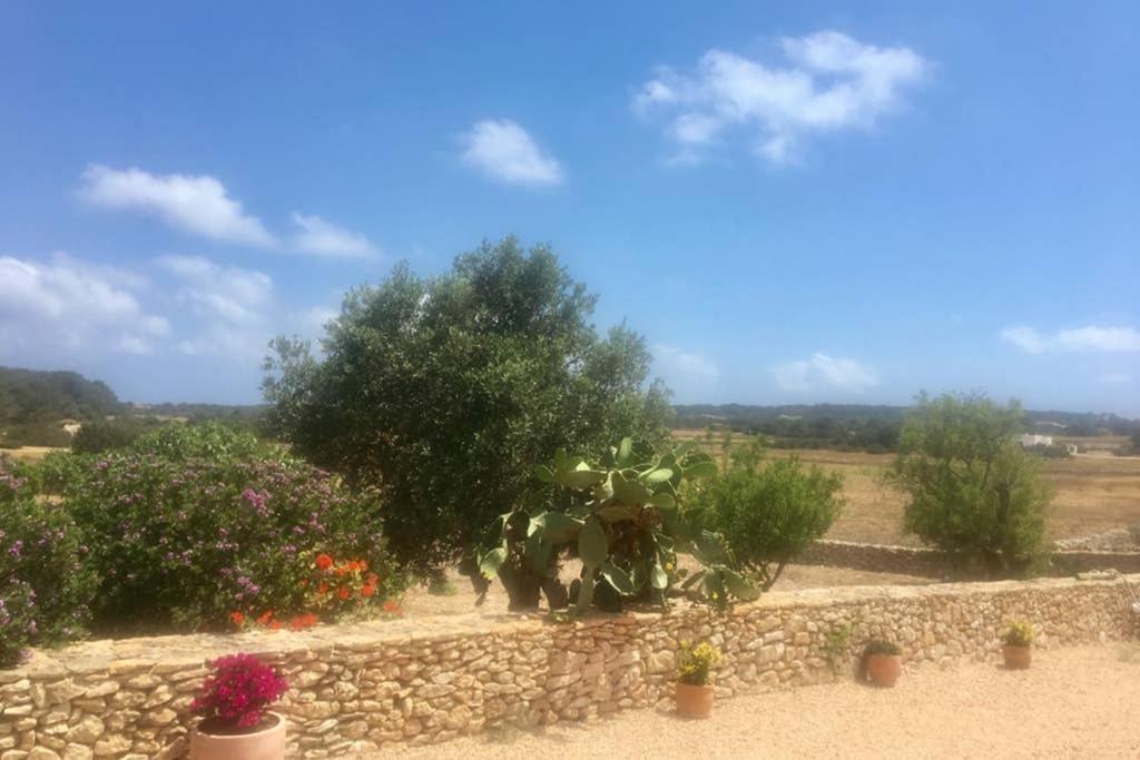 Casa Rural Es Cap De Barbaria San Francisco Javier Екстер'єр фото