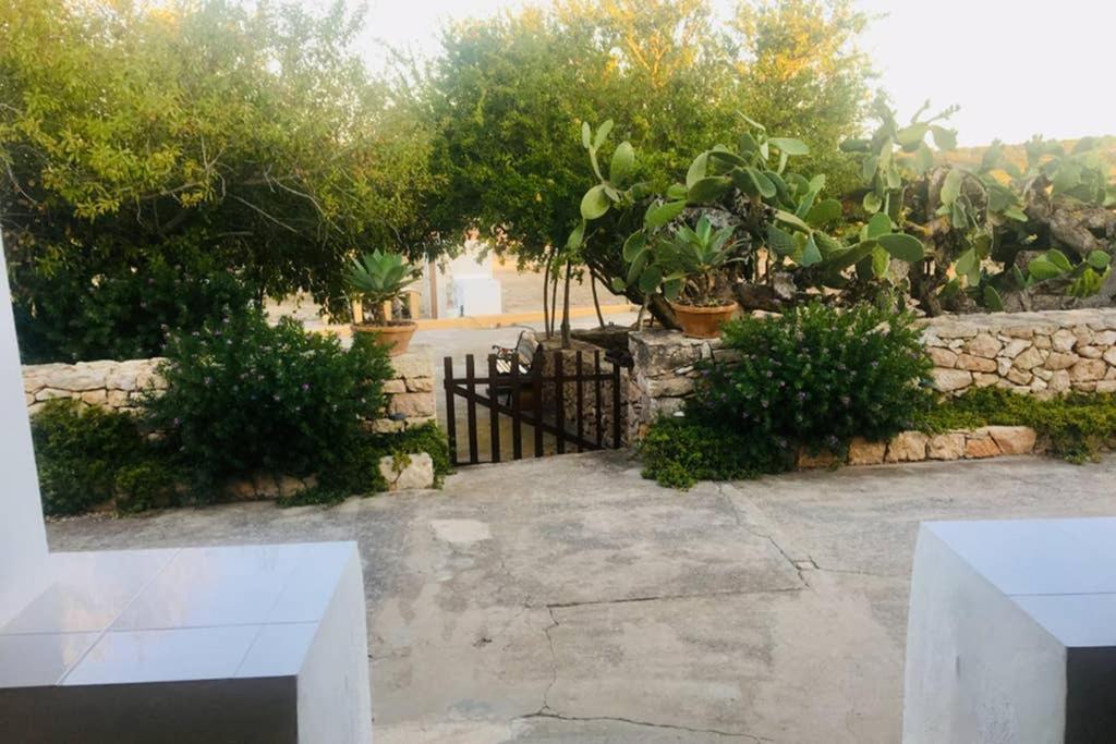 Casa Rural Es Cap De Barbaria San Francisco Javier Екстер'єр фото