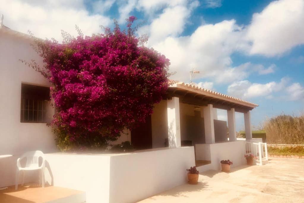 Casa Rural Es Cap De Barbaria San Francisco Javier Екстер'єр фото
