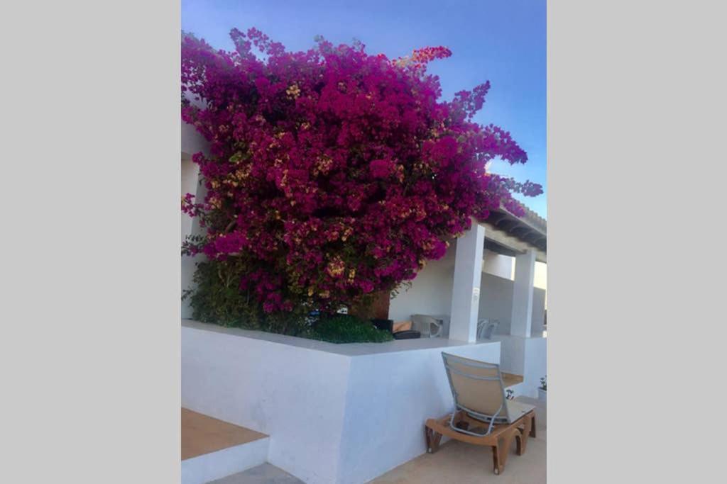 Casa Rural Es Cap De Barbaria San Francisco Javier Екстер'єр фото