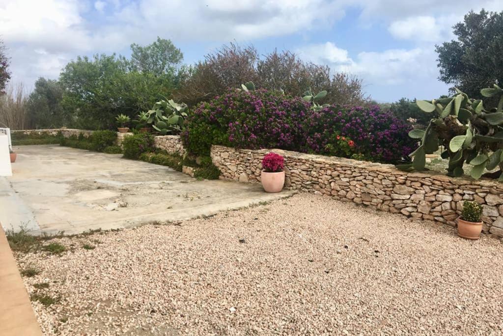 Casa Rural Es Cap De Barbaria San Francisco Javier Екстер'єр фото
