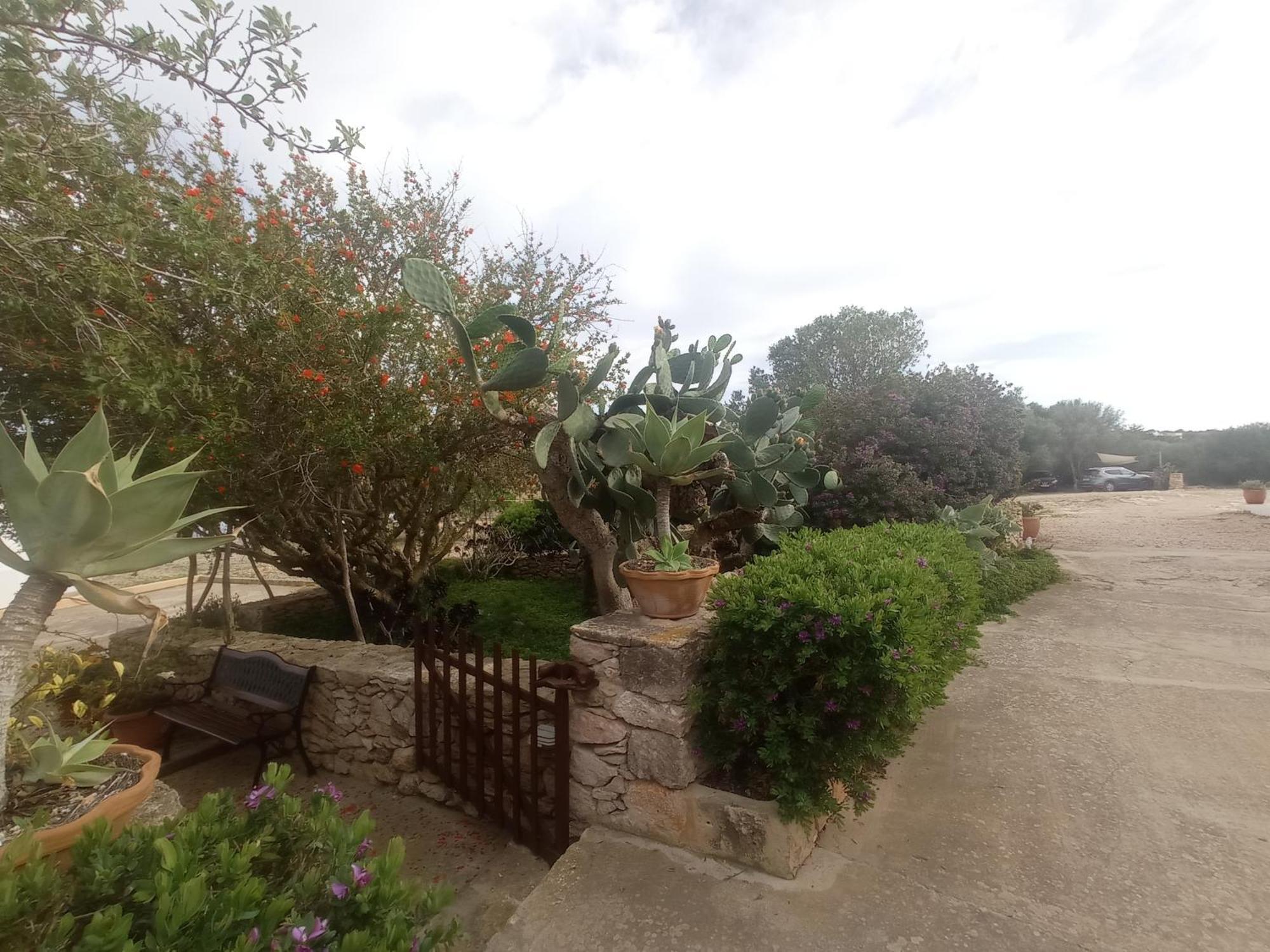 Casa Rural Es Cap De Barbaria San Francisco Javier Екстер'єр фото